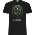 CASA SLYTHERIN