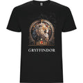 CASA GRIFFINDOR