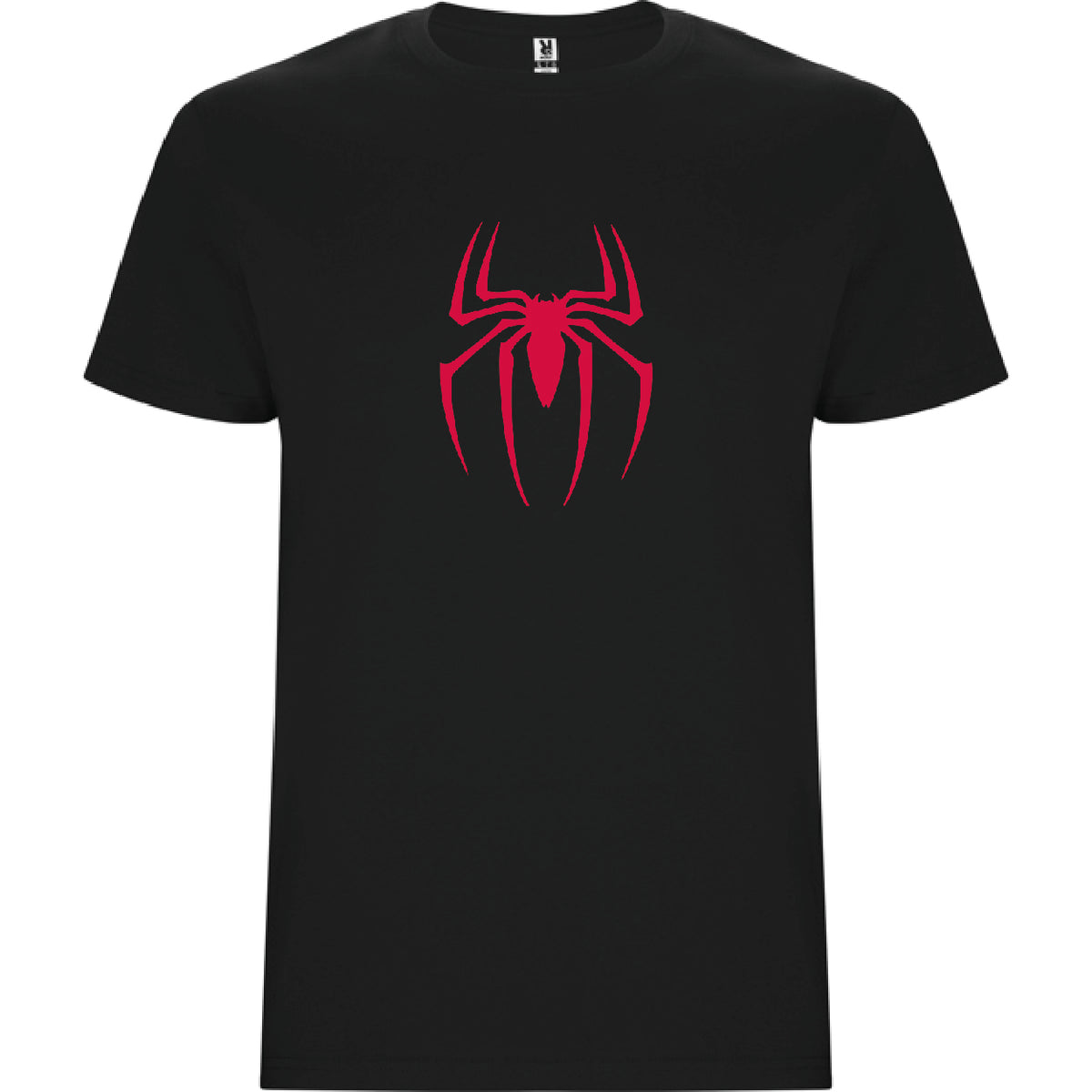 SPIDER BOY
