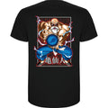 MAESTRO ROSHI - DRAGON BALL