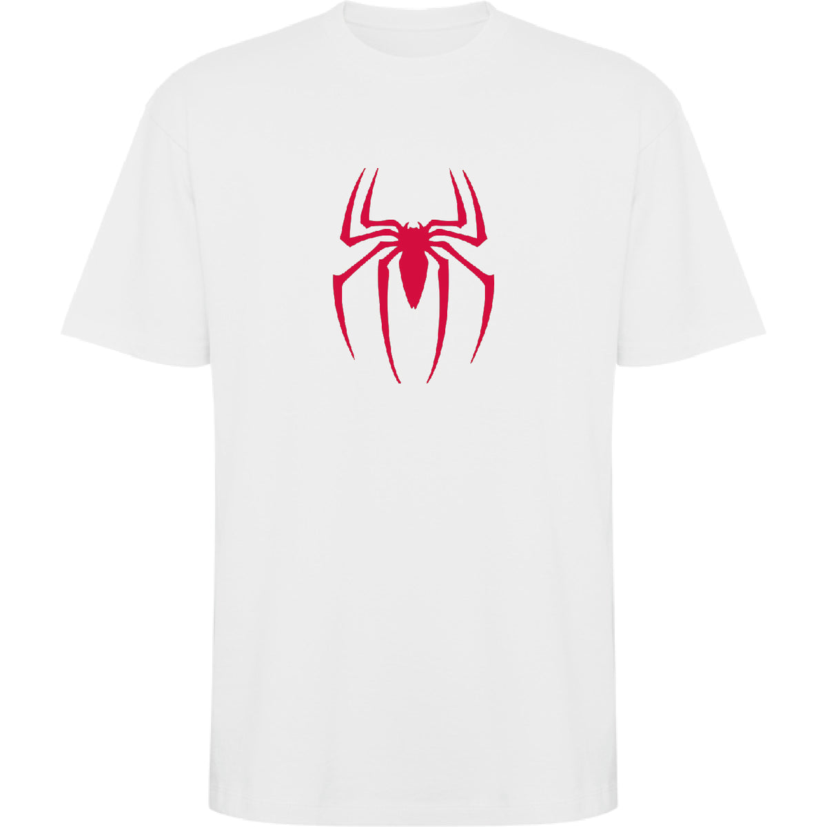 SPIDER BOY