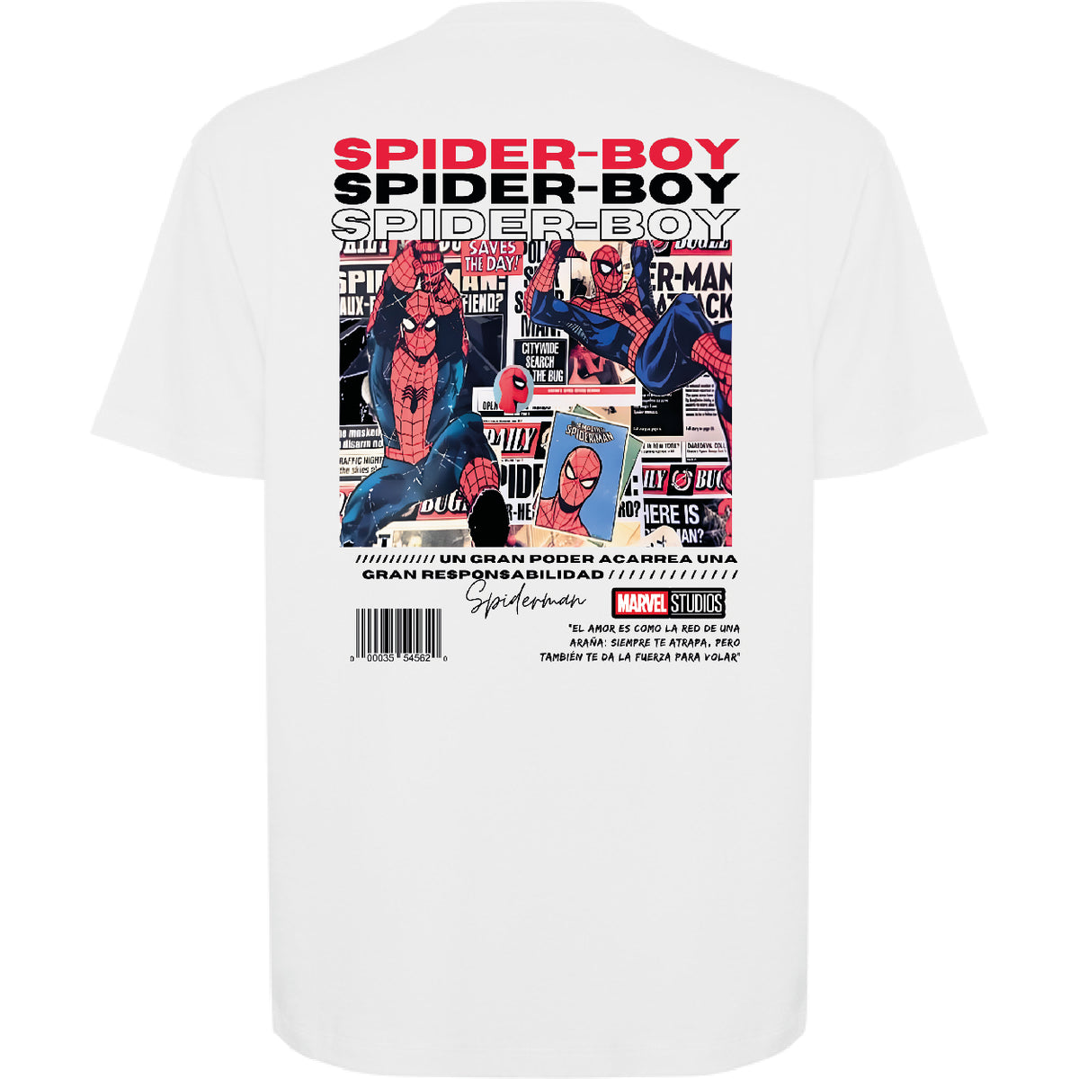 SPIDER BOY