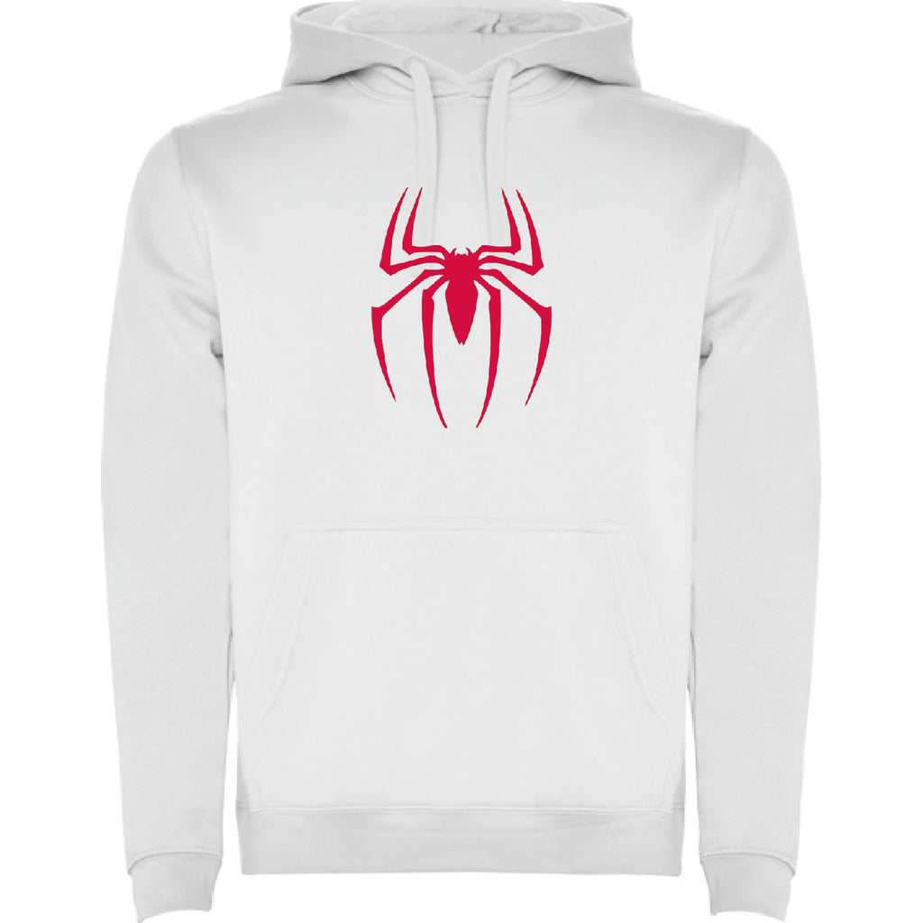 SPIDER BOY