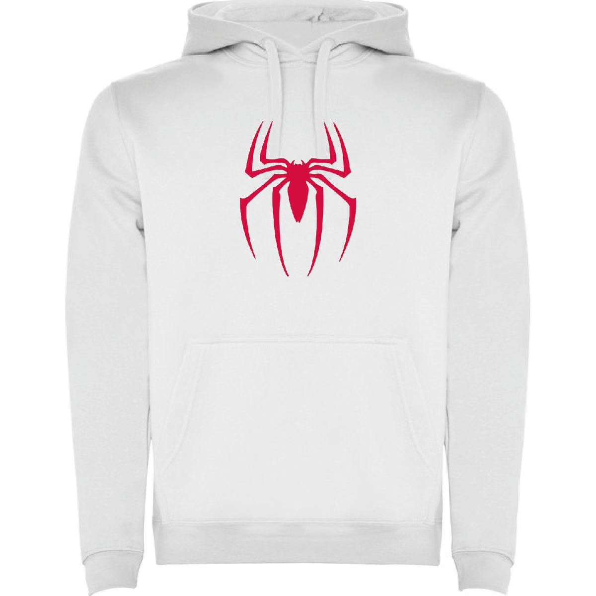 SPIDER BOY