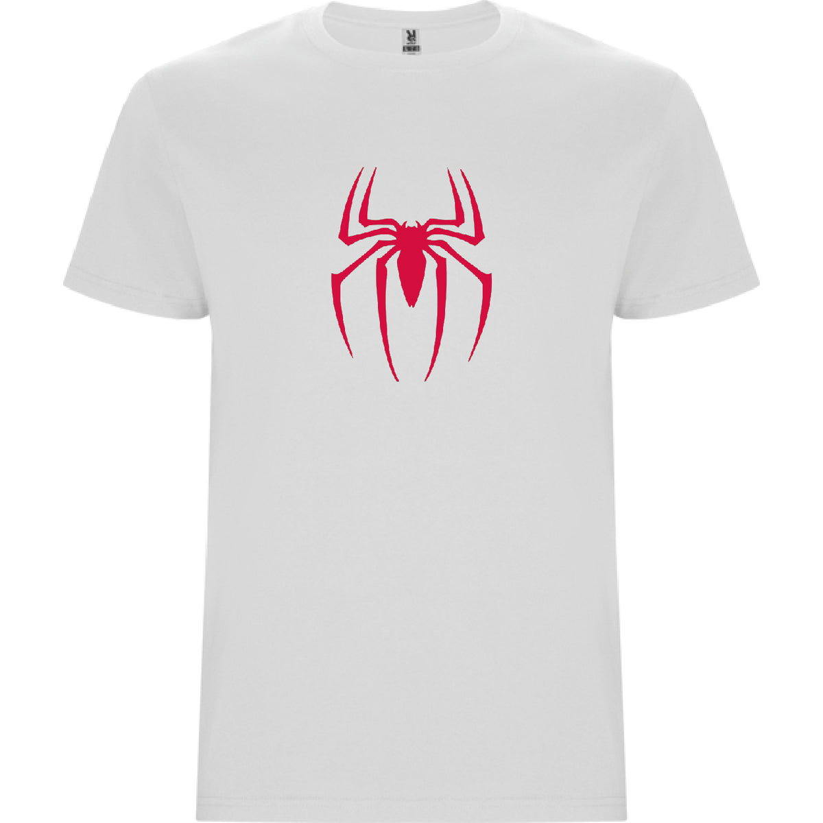 SPIDER BOY