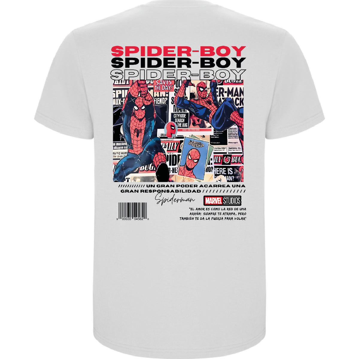 SPIDER BOY