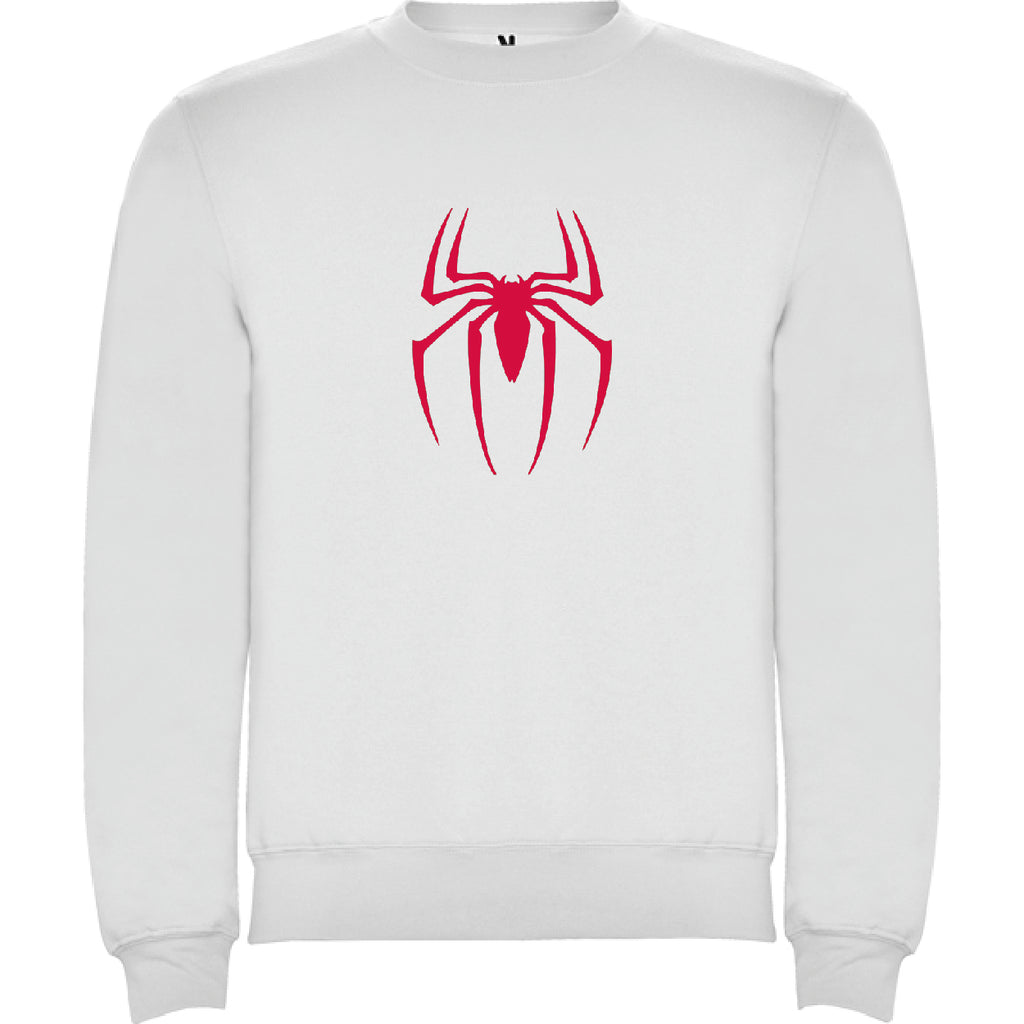 SPIDER BOY