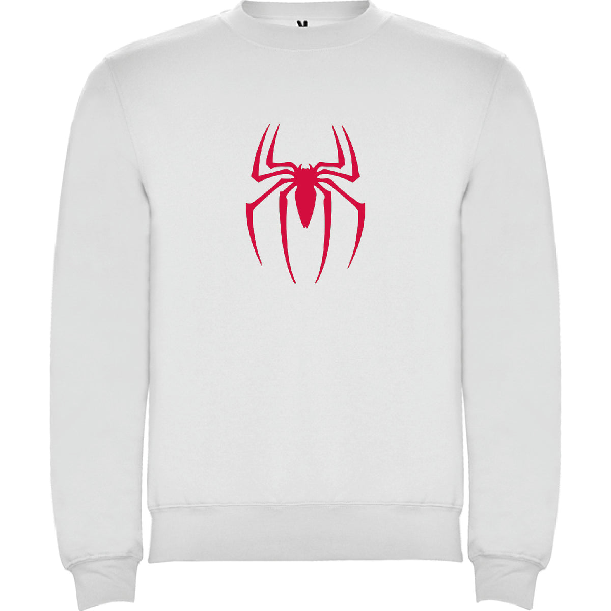 SPIDER BOY
