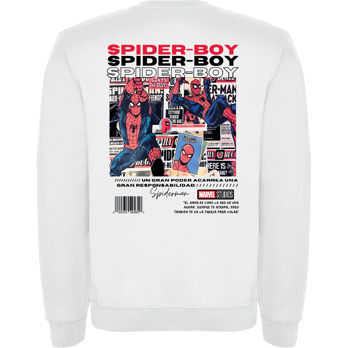 SPIDER BOY