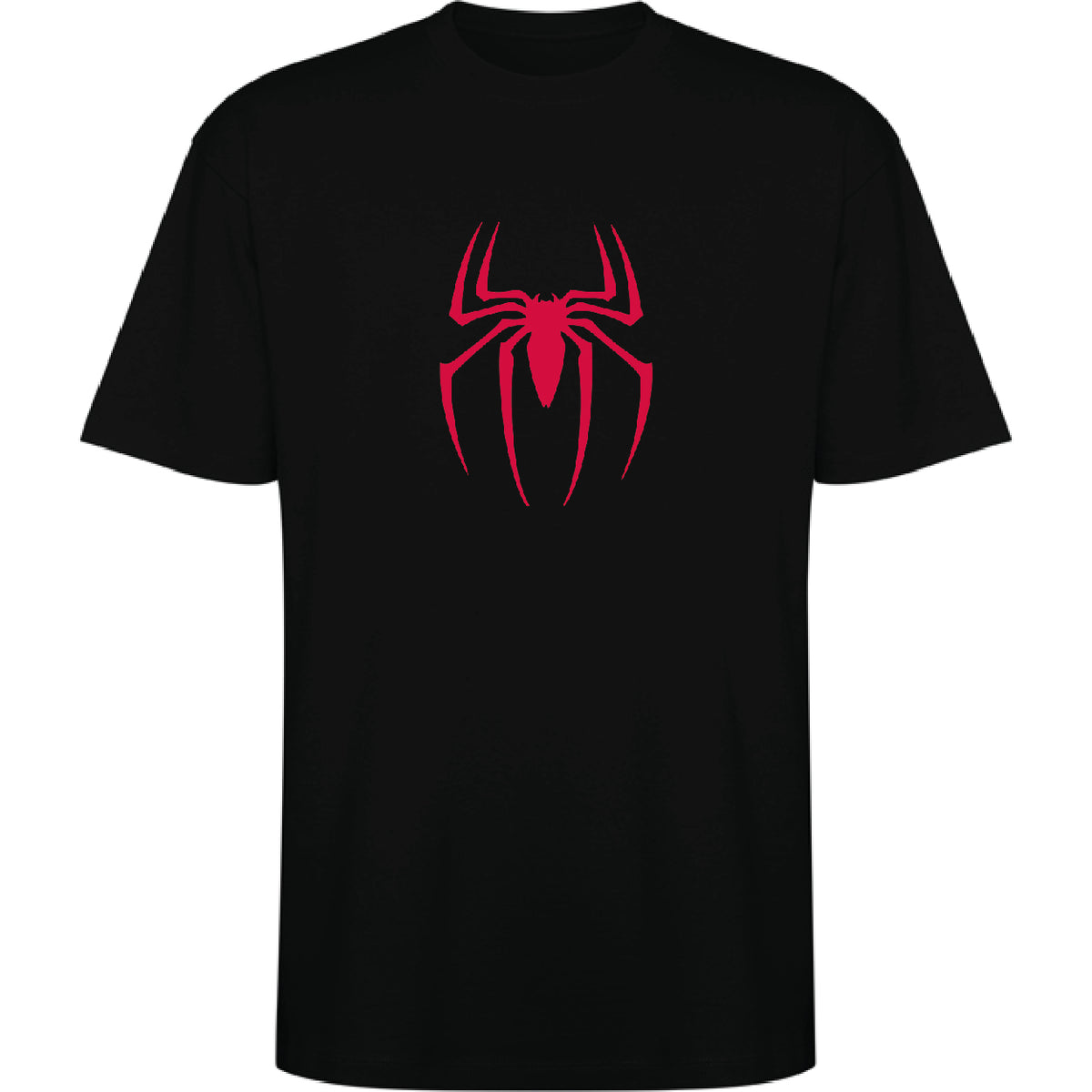 SPIDER BOY